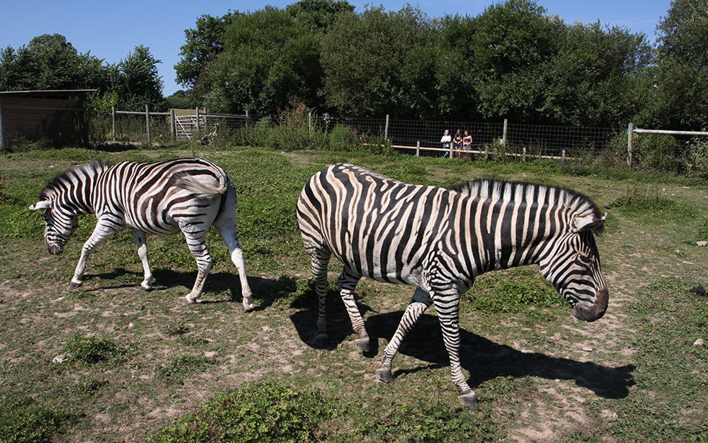 wildlife park.jpg